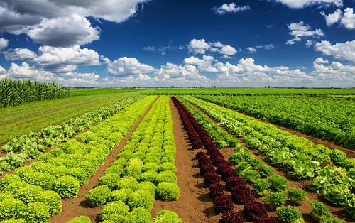 1644371268183706.png image.png