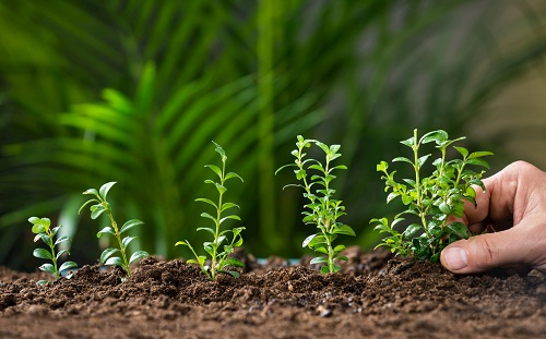 1644918398189983.png image.png