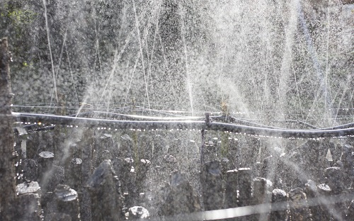 1645069671467489.png image.png