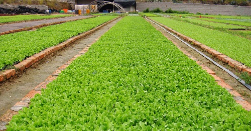 1646211526118376.png image.png