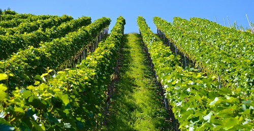 1647239832214032.png image.png