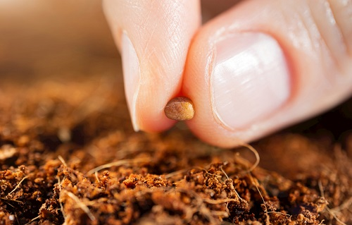 1647934657192936.png image.png