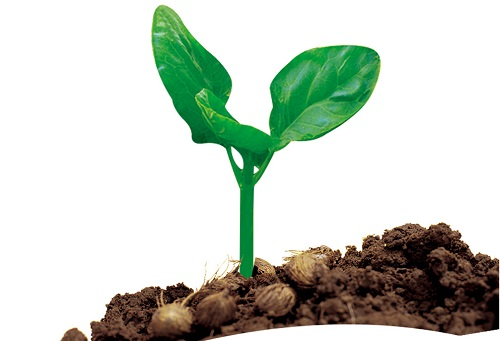 1647935149868793.png image.png