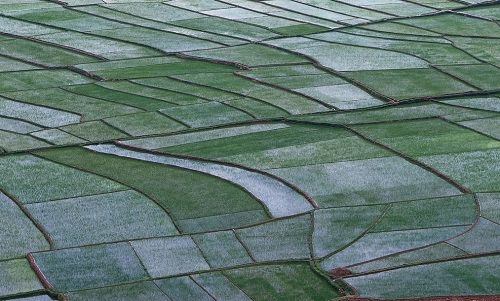 1648193888779773.png image.png