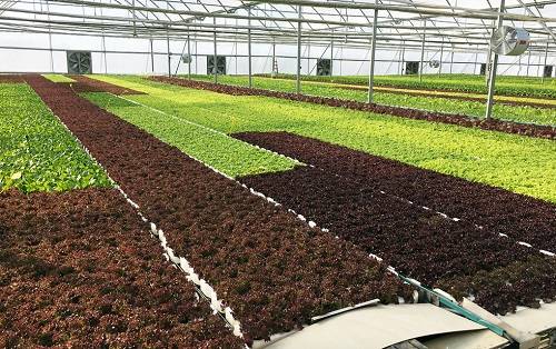 1648448458117637.png image.png