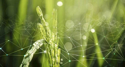 1648792833151027.png image.png