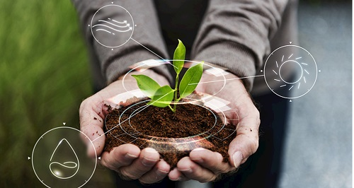 1649743174349014.png image.png