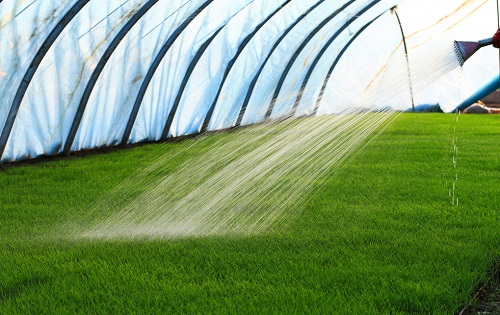 1650002813222912.png image.png