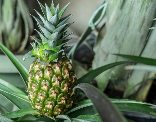 1652067085123361.png image.png