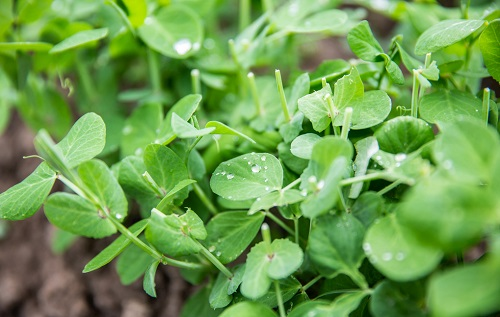 1652162840690095.png image.png