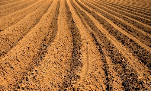 1652326266147106.png image.png