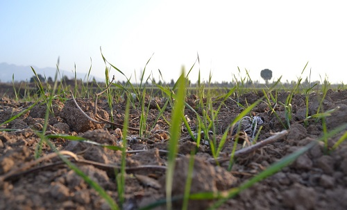 1654656650776995.png image.png