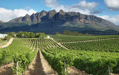 1655347726705263.png image.png