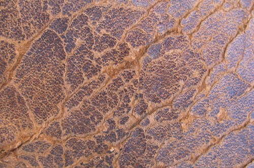 1656309138835363.png image.png