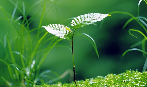 1656558851146134.png image.png