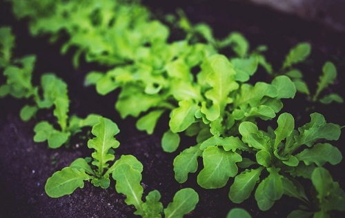 1657856467826565.png image.png