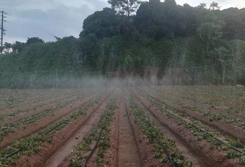 1658209121170787.png image.png