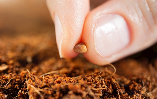 1658294563202562.png image.png