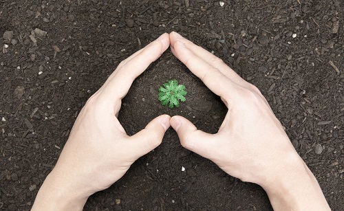 1658373979161882.png image.png