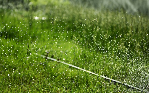 1658460386994699.png image.png