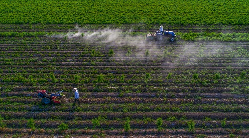 1659510443729958.png image.png