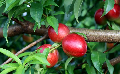 1660111167136685.png image.png