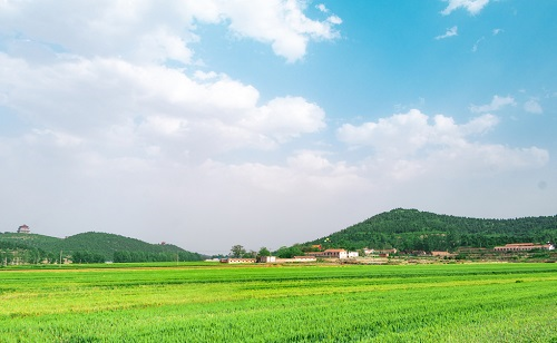 1660189370121674.png image.png