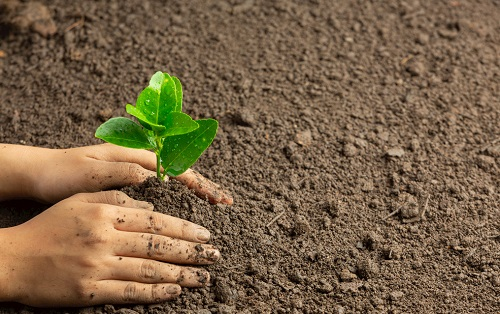 1660290707197832.png image.png