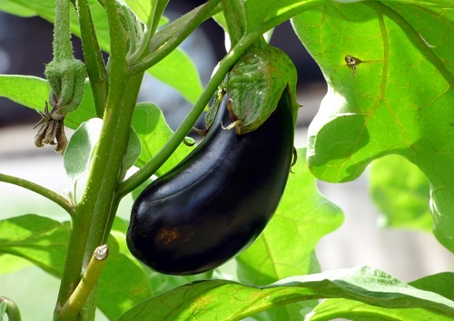 1662694925650281.png image.png