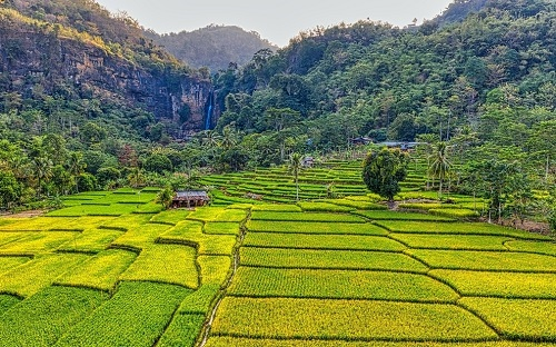 1663220922657705.png image.png