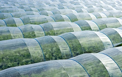 1663828500195174.png image.png