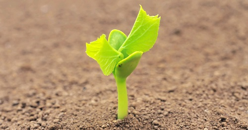 1663914388437847.png image.png