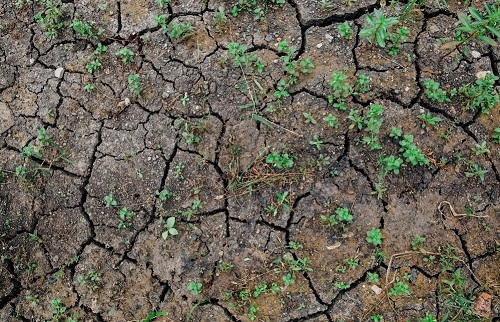 1665293554346826.png image.png