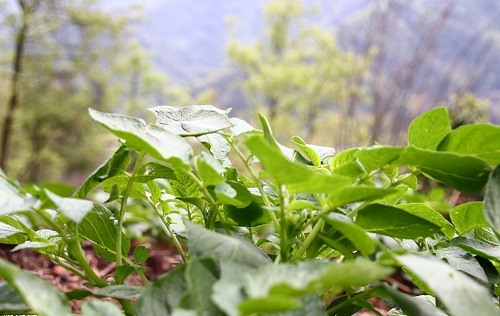 1666334392214015.png image.png