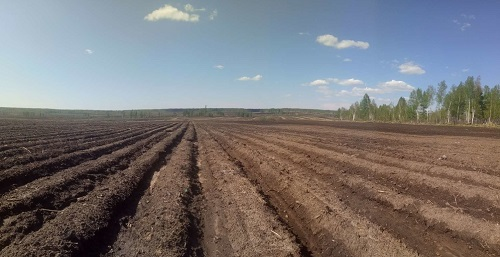 1666668066197162.png image.png