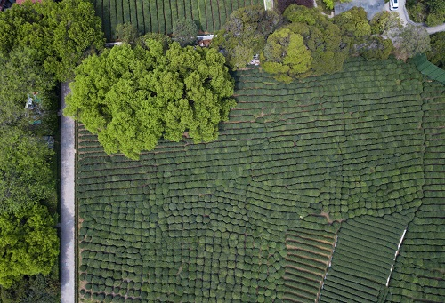 1666753686169154.png image.png