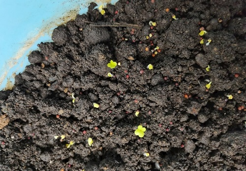 1666934964195541.png image.png