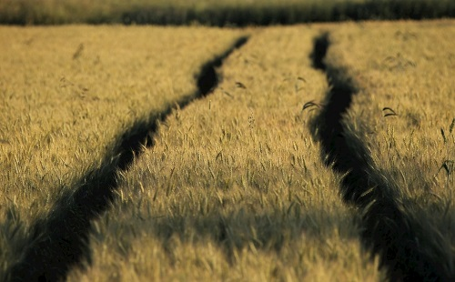 1668742238179733.png image.png