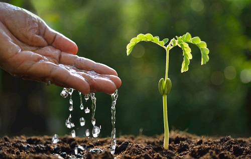 1669708569121711.png image.png