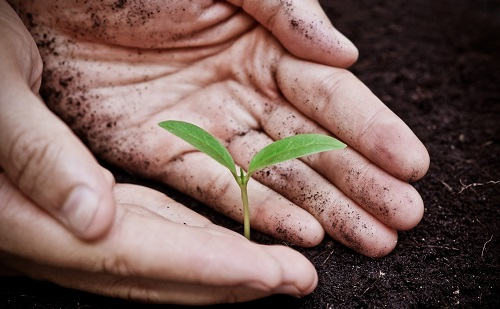 1671178732170183.png image.png