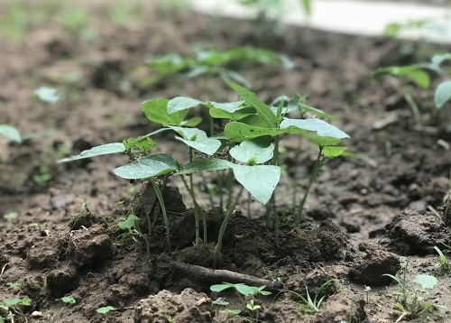 1672124683211731.png image.png