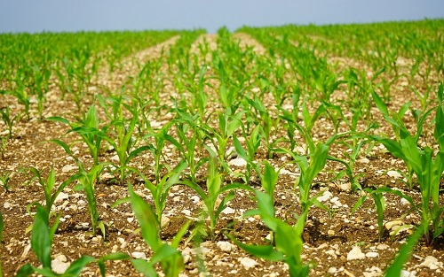 1672902054195518.png image.png