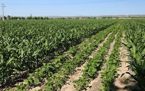 1675834468161167.png image.png