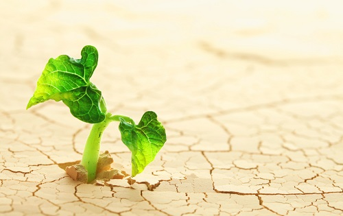 1675920797560150.png image.png