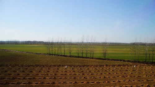 1677565873197306.png image.png