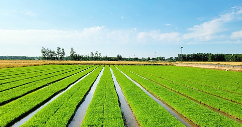 1677820351190309.png image.png