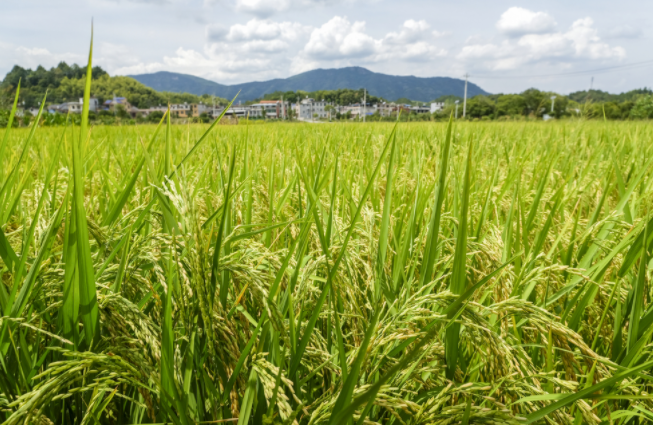 1682214985108164.png 1682214985108164.png