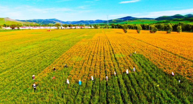 1683608979137690.png 1683608979137690.png